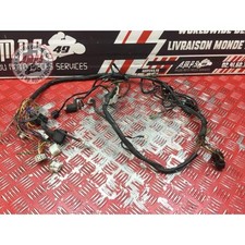 Faisceau électrique