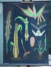 VINTAGE | CARTE MURALE