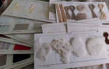 Rare!!!!!En allemand coffret