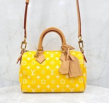Louis Vuitton Nouveau Speedy