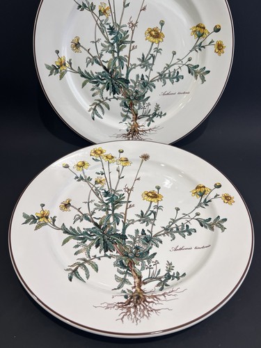 Villeroy boch botanica - villeroy,