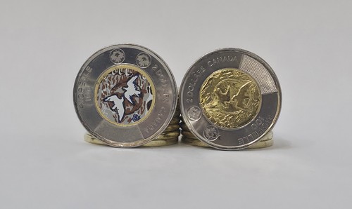 Lot dollars canada - x,