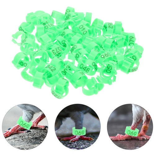 100 pcs bagues pattes - 100,