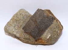 Minéraux Collection - Grande Staurolite / Staurotide sur Gangue - Corey - 79g