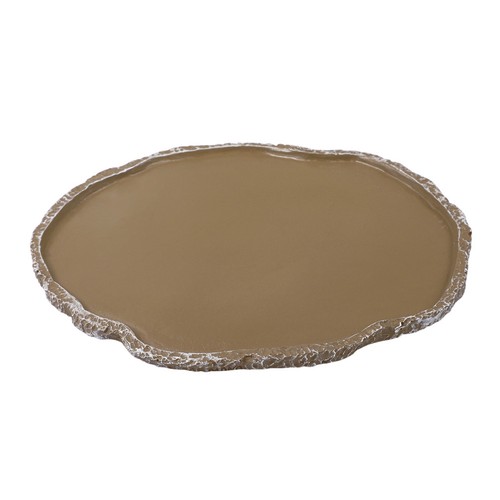 Aliment tortue terrestre - aliment,