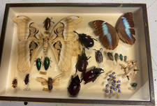 Boîte Cadre Vitrée -