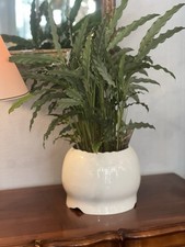 SUPERBE CACHE POT ROSENTHAL  COLLECTION LANDSCAPE PAR PATRICIA URQUIOLA