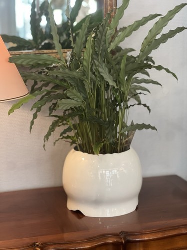 Superbe cache pot - superbe,