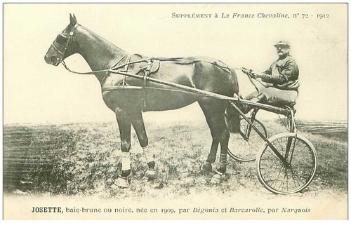hippisme.n°35967.josette.bai