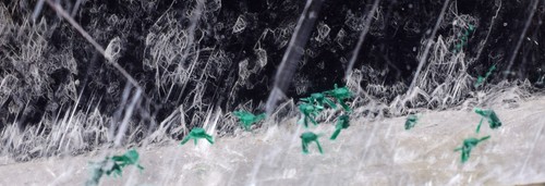 1cms gem atacamite inside - atacamite,