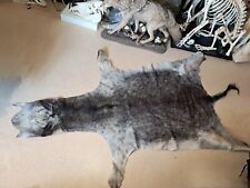 Peau d'âne; Equus asinus