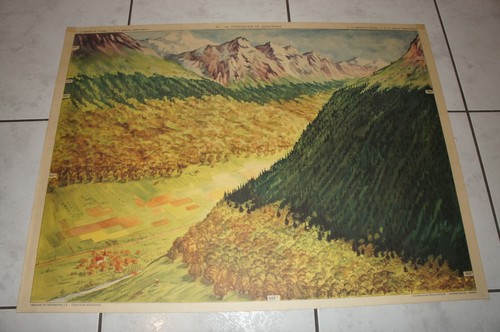 Ancienne affiche scolaire - ancienne,