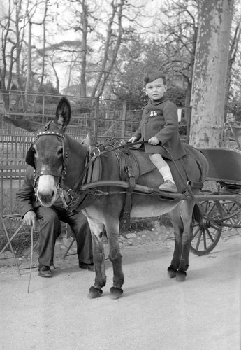 Portrait jeune garçon sur - , un