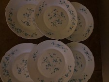 Lot De 6 Assiettes Plates Arcopal Fleur Veronica Myosotis Vintages