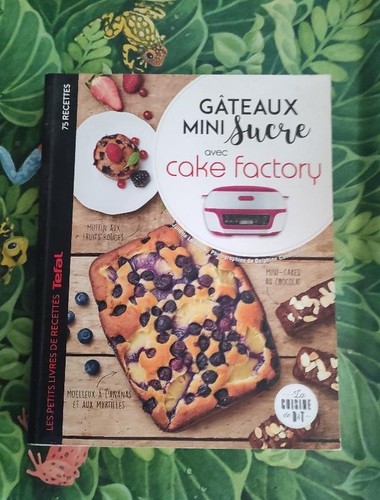 Livre recettes gâteaux - livre, :