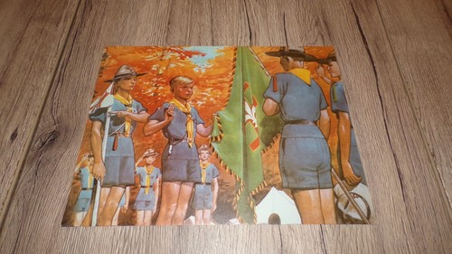 Planche dessin pierre joubert - planche,