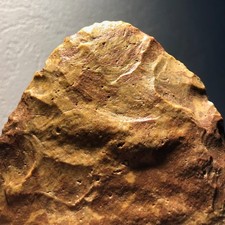 🎄Magnifique biface ovalaire