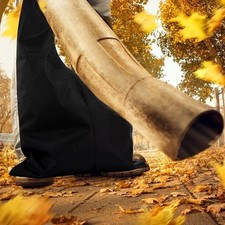 Sac de rechange souffleur de