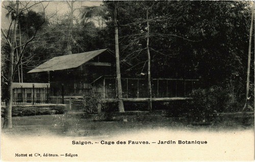 Cpa vietnam saigon cage des - saigon,