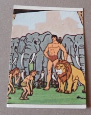 Figurine PANINI : TARZAN