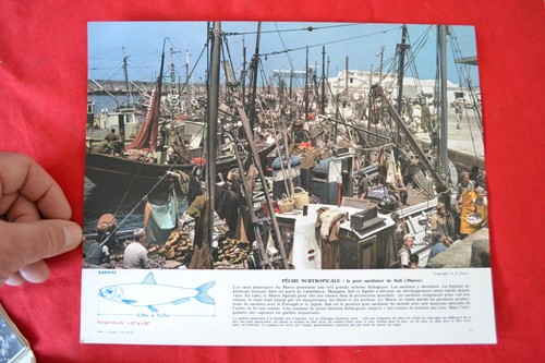 Planche photographique port - photographique,
