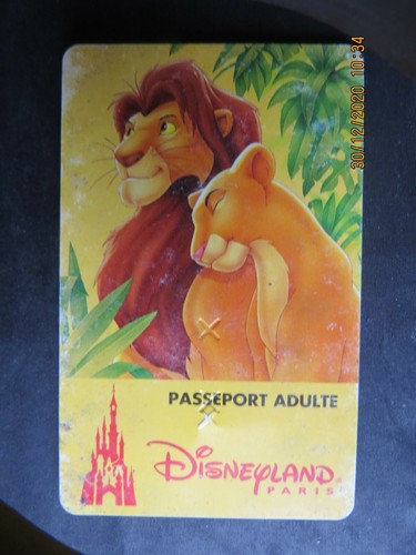 Pass disney année 1996 - pass, 1996 