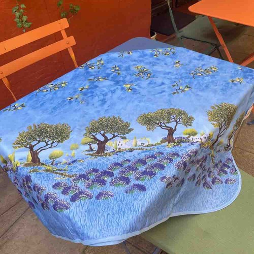 Nappe arbre olivier champs - , de
