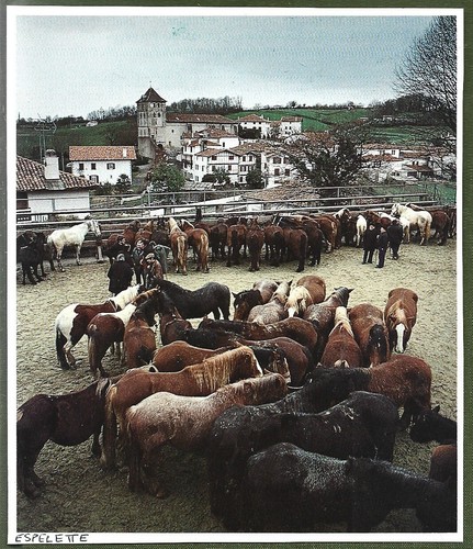 1983 espelette - 1983,