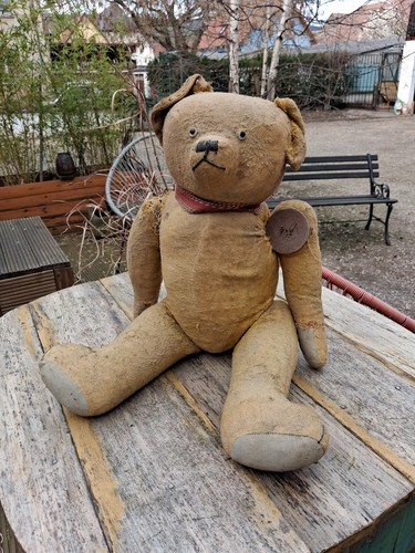 Grand ours peluche - en,