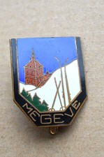 RARE insigne, broche