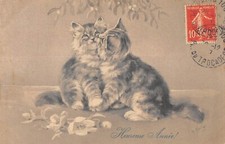 CPA FANTAISIE REPRESENTANT 2