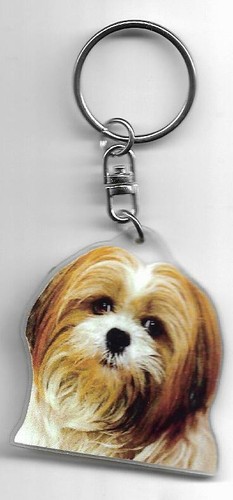 Lhassa apso chien porte cles - porte,