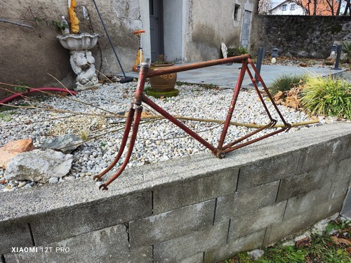Cadre velo ancien royal - velo,