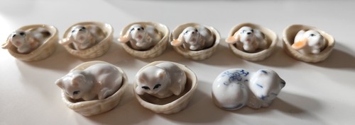 Petits chiens chats en - &,