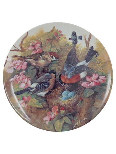 Seltmann weiden assiette - weiden,