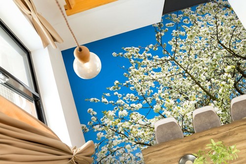 Poires arbre 8101na papier - poires,