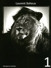 YellowKorner portfolio tome 1