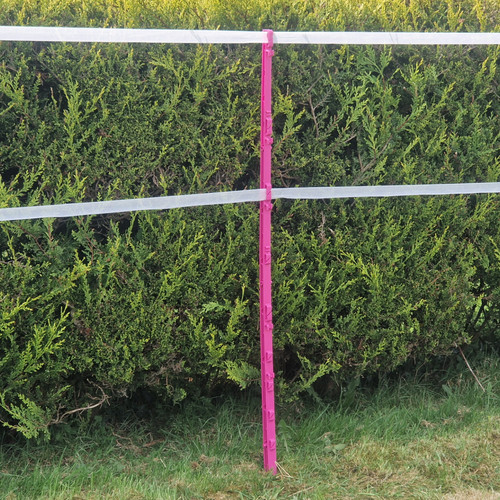 Rose 5ft poly messages 156cm - 5ft,