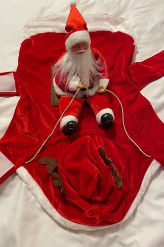 Dog costume santa claus riding - dog,