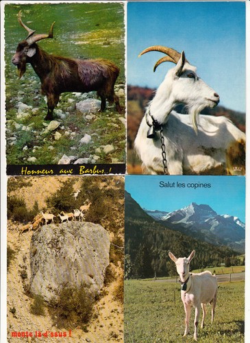 Lot cartes postales - cartes,