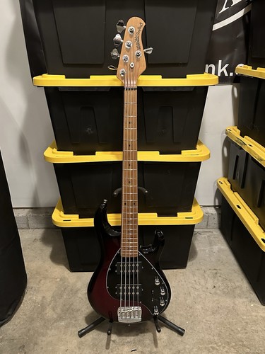 Ernie ball music man stingray - music,