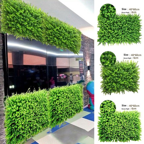 Haie murale herbe - haie, en