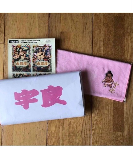 Ensemble serviettes sumo - ensemble, de