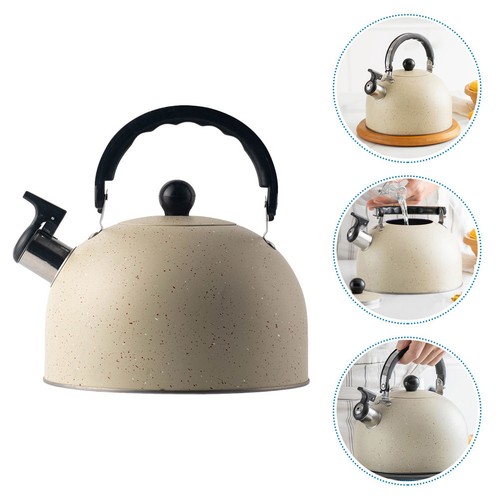 Bouilloire sifflante acier - en,