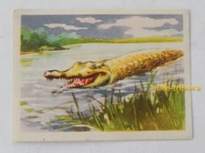 Image CHROMO Chocolat