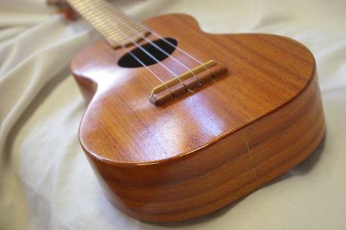 Koaloha kcm concert ukulele - koaloha,