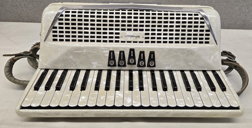 Excelsior accordiana ivory - excelsior, 508