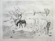 Yves brayer chevaux sauvages - brayer,