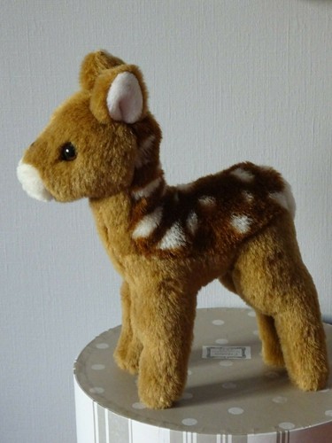 Adorable faon bambi bebe biche - faon,