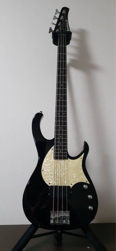 Electric bass guitar modulus - guitar,
